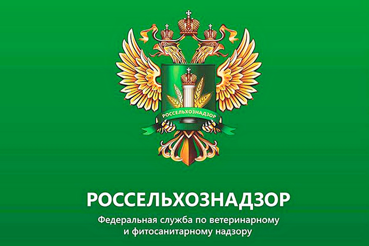 Информация по узелковому дерматиту..